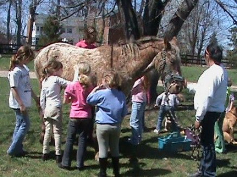 Visit Sam Brannon Stables