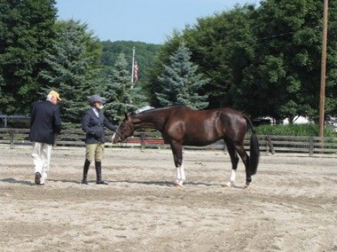 Visit On Course Riding Academy