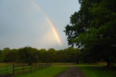 Visit Hidden Brook Farm