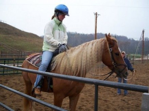 Visit Rusty-Horse Stables