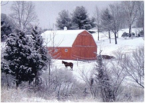 Visit Misty Meadow Farm
