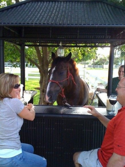 Visit Kennedy Stables