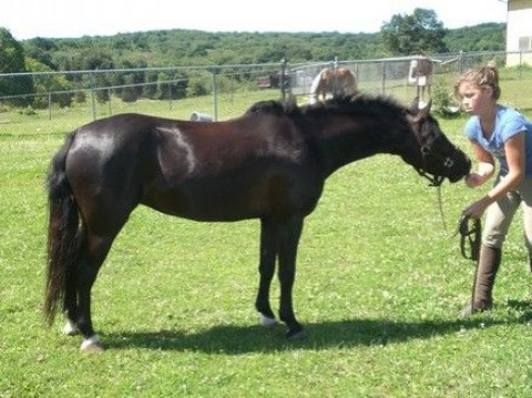 Visit Summer Hill Farm LLC