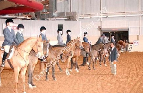 Visit Krescent and Haley Stables