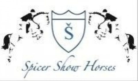 Visit Spicer Show Horses