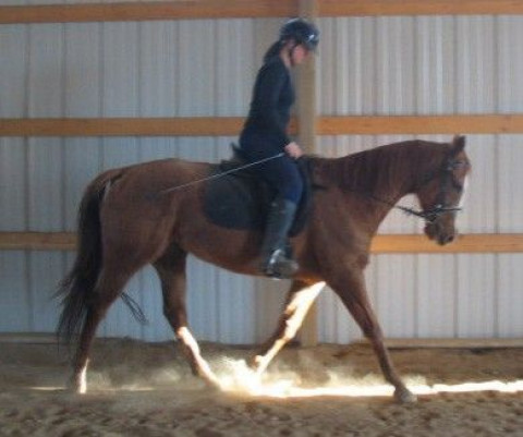 Visit Art of Classical Dressage