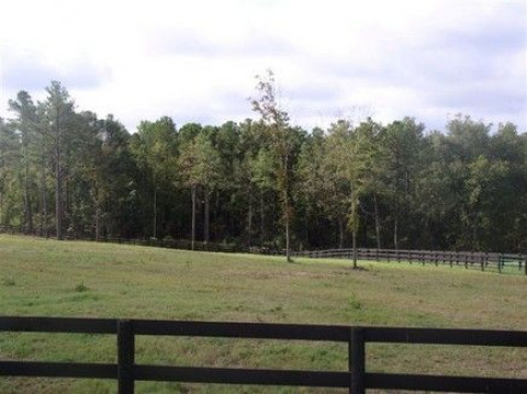Visit Ash Stables