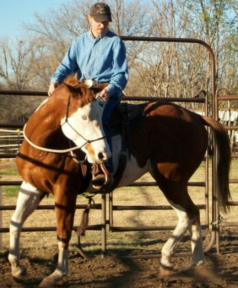 Visit Horse Gentling Ranch