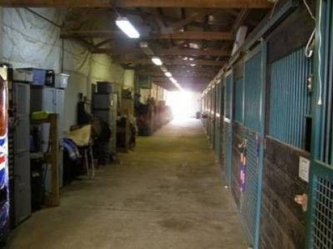 Visit Bull Valley Stables