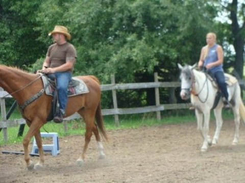 Visit Saddle Up Horse Farm