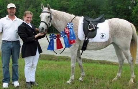 Visit Krowchuk Dressage