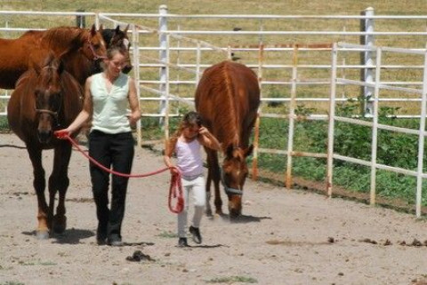 Visit Parker Valley Farm & School of Horsemanship