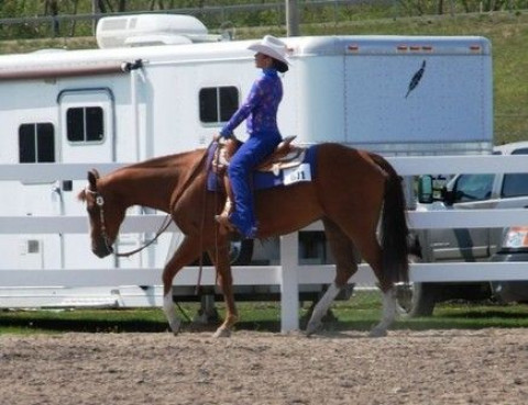 Visit Rhapsody Hill Farm/ Elizabeth Thakar Performance Horses