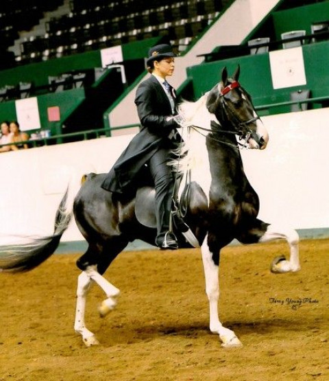 Visit Bob Jensen Stables