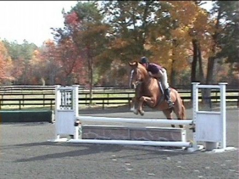 Visit Brandywine Farms