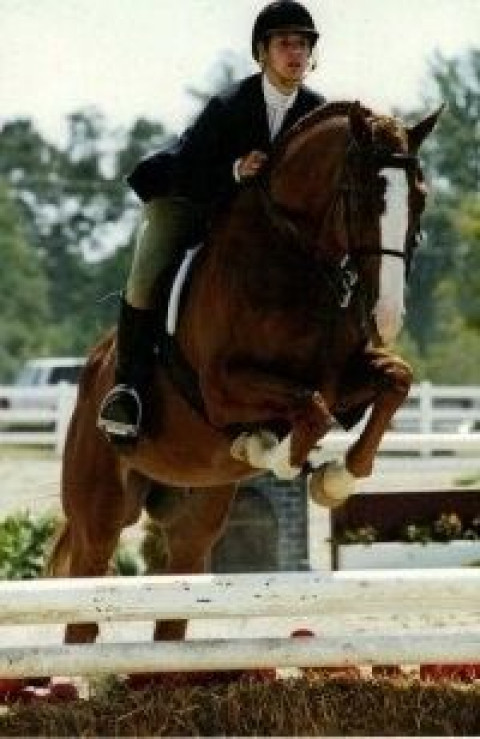 Visit Dream Big Equestrian