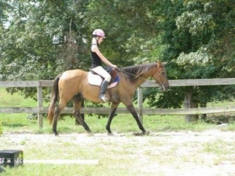 Visit Sierra Springs Equestrian Center