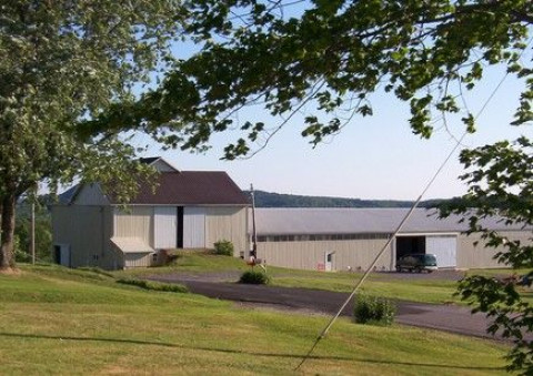 Visit Schuster Stables