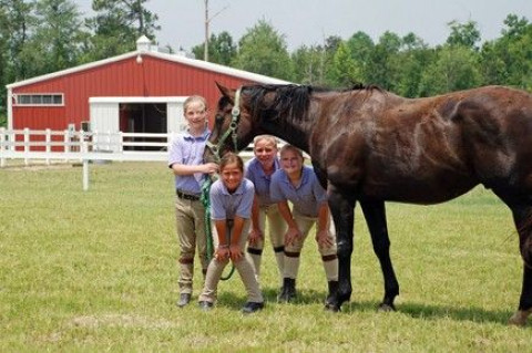 Visit Southern Pine Stables