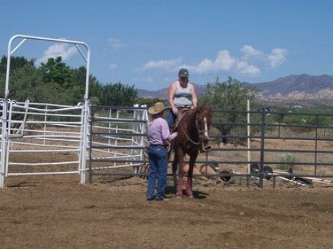 Visit Big Hat Horse Training