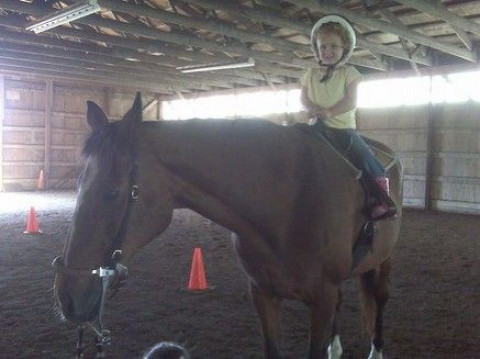 Visit CornerStone Acres Stables
