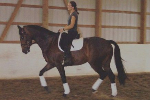 Visit Debbie Morrison Dressage