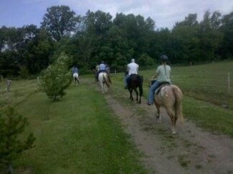 Visit Hickory Acres Ranch