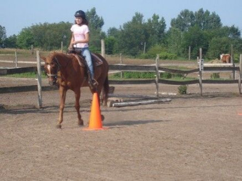 Visit Therapeutic Horsemanship of West Michigan