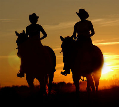 Visit Deep Creek Stables