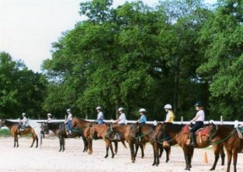 Visit Amie's Horse Ranch