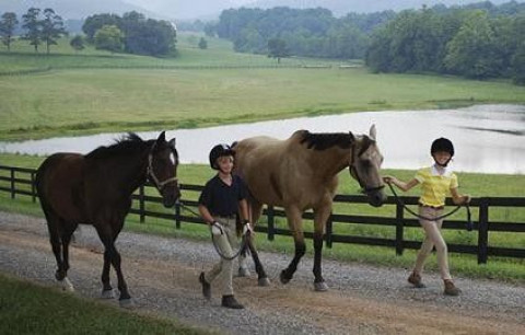Visit Meadowbrook Farm at Huntly LLC