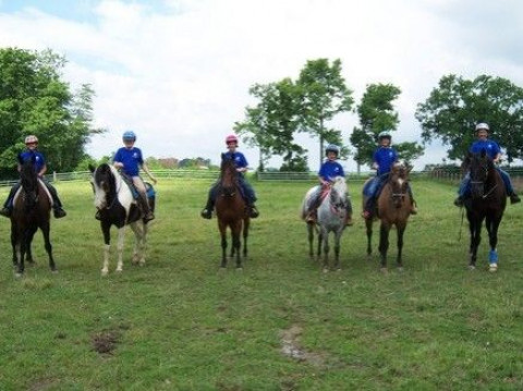 Visit Roudy Acres