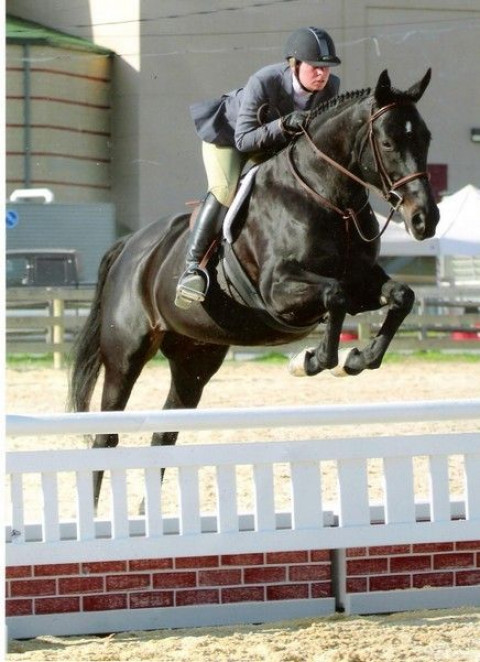 Visit Clay Hill Stables