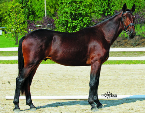 Visit Tipperary Farm