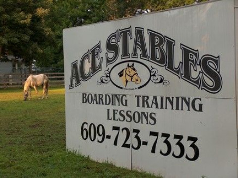 Visit ACE STABLES