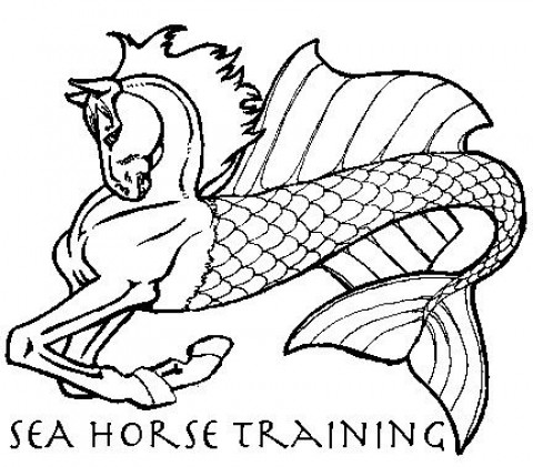 Visit Sea Horse Training, LLC