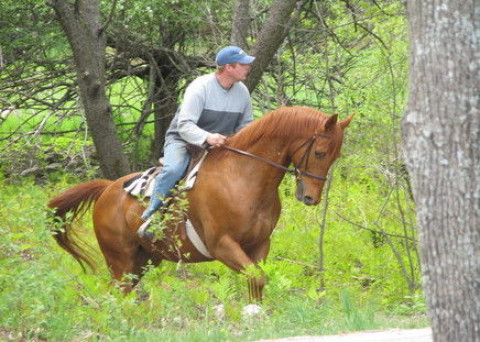 Visit Pleasant Hill Farm