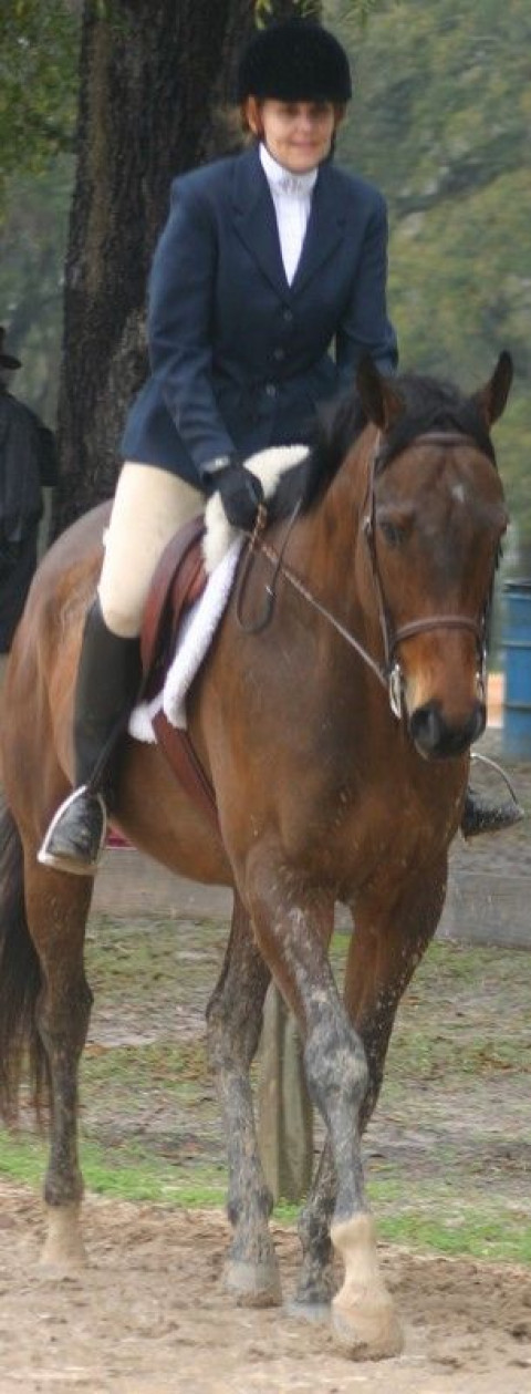 Visit Clermont Saddle Club