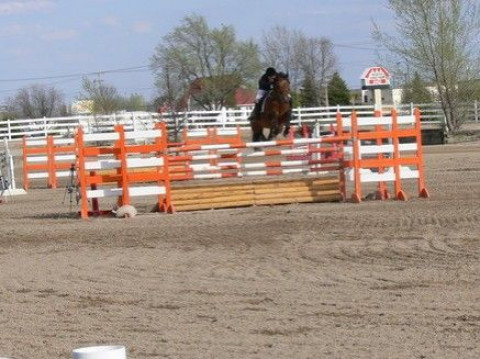 Visit Amara Packwood - Hunter/Jumper Riding Lessons & Horse Training