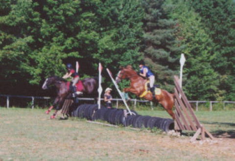 Visit SUMMER WIND STABLES, TACK AND GIFT SHOPPE