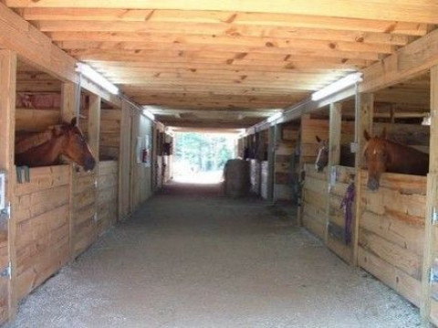 Visit High Country Stables