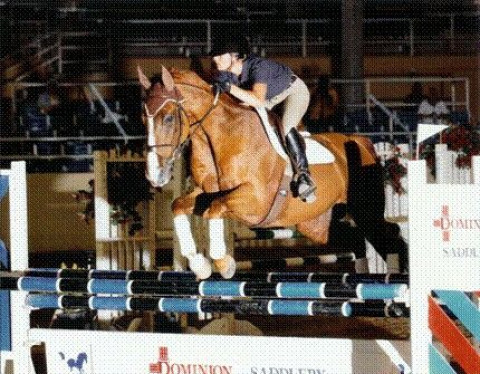 Visit Sanaa Pharayra Stables