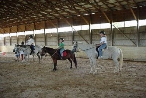 Visit Airy Hill Stables