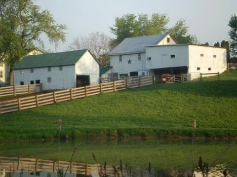 Visit Chambourcin Spring Farm