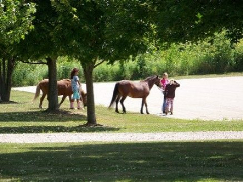 Visit Pompei Ranch