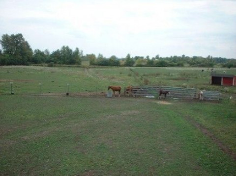 Visit Autumn Creek Farm