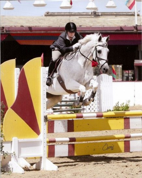 Visit Platte Ridge Equestrian Center