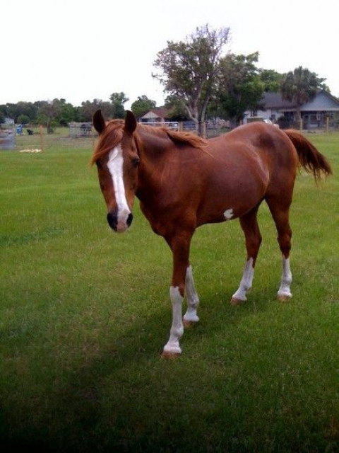 Visit Finnegan Farms