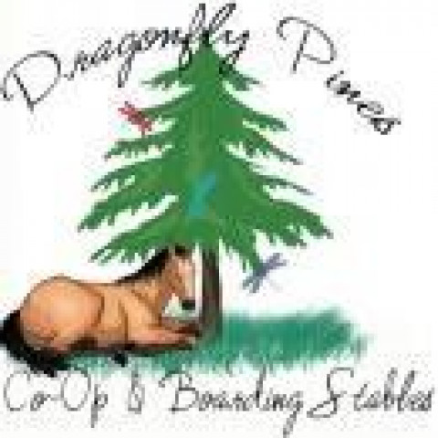 Visit Dragonfly Pines Co-op & Boarding Stables