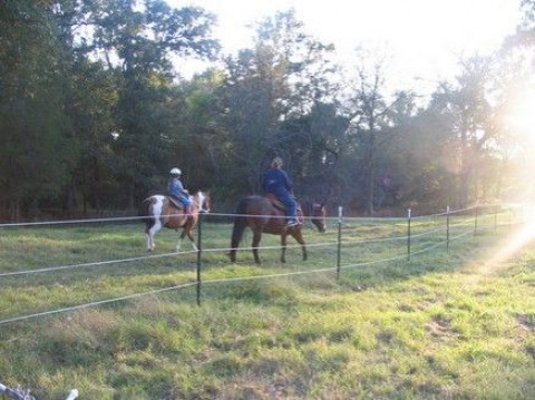 Visit Harmon PFarms